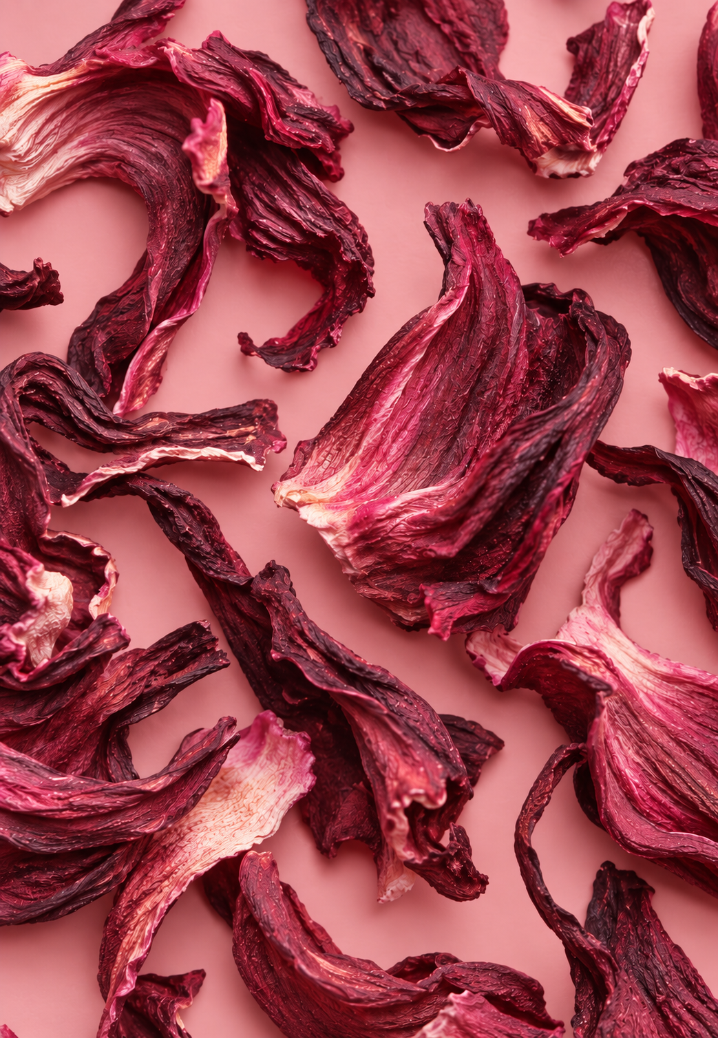 Close-up of a pink cabbage leaf